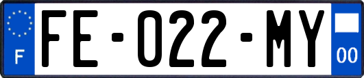 FE-022-MY