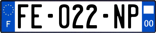 FE-022-NP