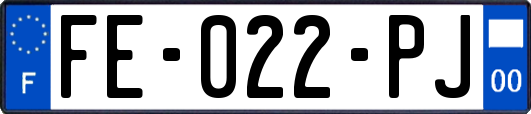 FE-022-PJ