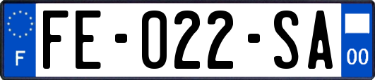 FE-022-SA