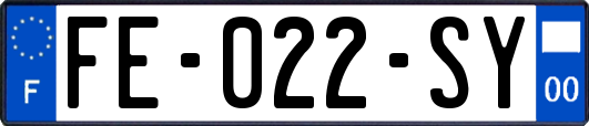 FE-022-SY