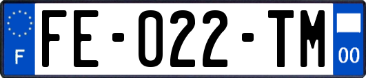 FE-022-TM