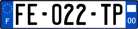 FE-022-TP