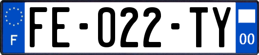 FE-022-TY
