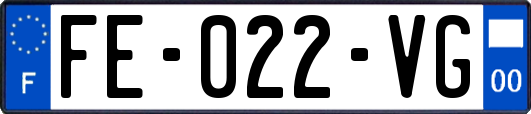 FE-022-VG