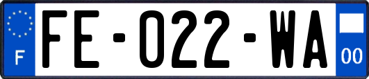 FE-022-WA