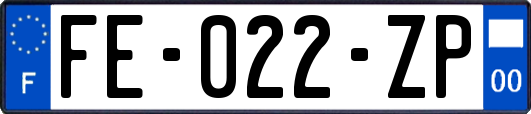 FE-022-ZP