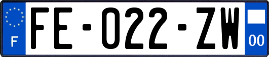 FE-022-ZW