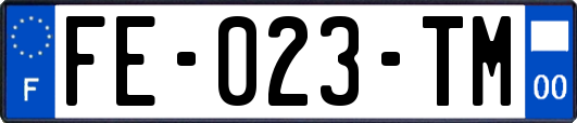 FE-023-TM