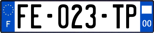 FE-023-TP