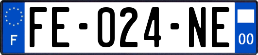FE-024-NE