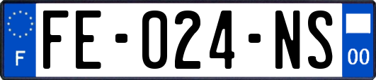 FE-024-NS