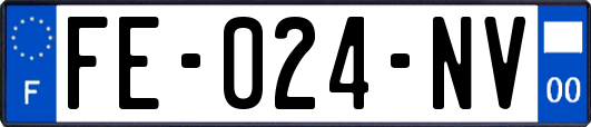 FE-024-NV