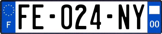 FE-024-NY