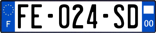 FE-024-SD