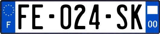 FE-024-SK