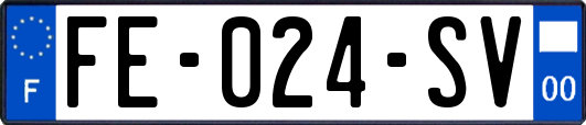 FE-024-SV