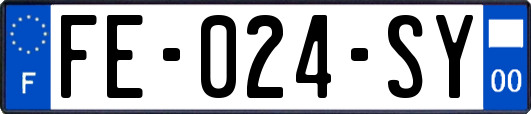FE-024-SY