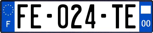 FE-024-TE