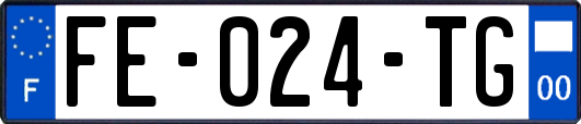 FE-024-TG