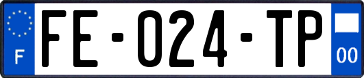 FE-024-TP