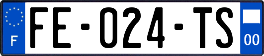 FE-024-TS