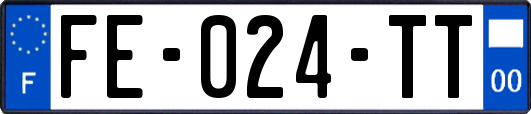 FE-024-TT