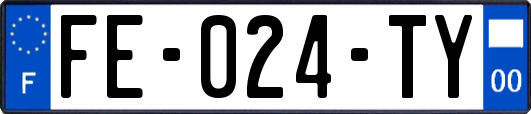 FE-024-TY