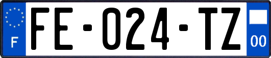 FE-024-TZ