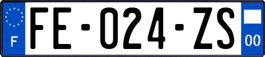 FE-024-ZS