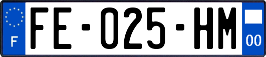 FE-025-HM