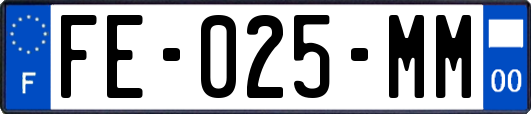 FE-025-MM
