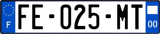 FE-025-MT