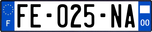 FE-025-NA