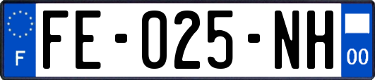 FE-025-NH