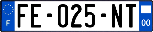 FE-025-NT