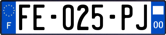 FE-025-PJ