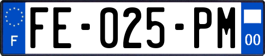 FE-025-PM