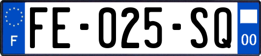 FE-025-SQ