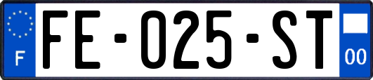 FE-025-ST