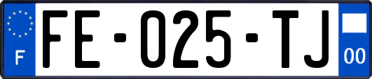 FE-025-TJ