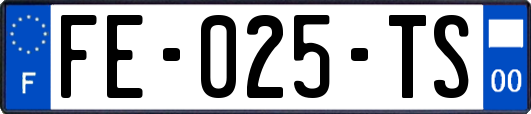 FE-025-TS