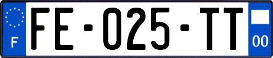 FE-025-TT