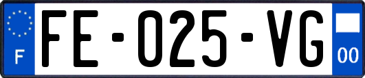 FE-025-VG