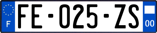 FE-025-ZS