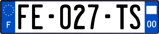 FE-027-TS