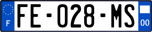 FE-028-MS