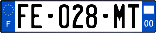 FE-028-MT