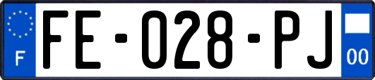 FE-028-PJ