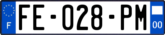FE-028-PM